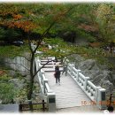 (주)정다운 여행