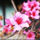 옛길다방