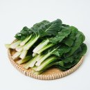 그린푸드 이미지