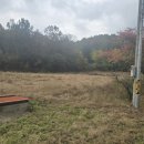 기북면행정복지센터 이미지