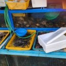 민락어패류시장 이미지