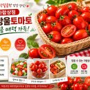 가람상점 티스토리