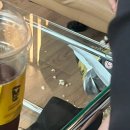 멘탈플스 | 쏭나일기 EP 24 : 한여름의 공포 파티