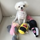 혜성세탁 이미지