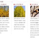 진북초등학교 이미지