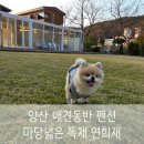 연희재 | 양산 애견 동반 독채 펜션 연희재 넓은 개별 마당 가족여행 숙소