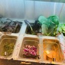 이야기요리교실(3-4학년) 이미지