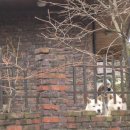 우면산6-13 이미지