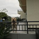 채우리네 이미지