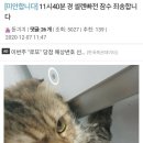 레이드 피씨방 이미지