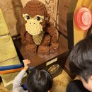 성공카랜드 | 나고야 여행(4) 6살 아이랑 레고랜드 재팬 호텔 후기 | 객실·조식·수영장·주차·맛집 정리