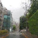 대화실비 이미지