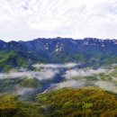 분저실마을 이미지