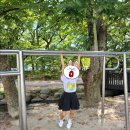 [함양 가볼만한 곳]함양 산삼 엑스포 관람 후기(함양 산삼 항노화 엑스포)