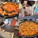 미사강변 대로 | 미사맛집 돗 : 하남미사 애견동반맛집 돗 미사 데이트 딱 좋은 미사 고기맛집 돗 🐷