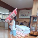 정훈이불