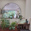 요가 D반 | 노원 임산부요가 추천_아카샤 요가 내돈내산 솔직후기