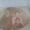 하동댁