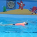 (주)민우 Daum카페