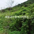 삼산면보건지소 이미지
