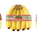 하늘유통 이미지