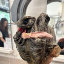 참.미쁘다 | 부천중동 미용실, 미쁘다 헤어 : - 밤 11시까지 운영하는 미용실에서 찾은 인생 머리! 염색 후기