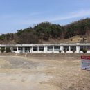 회남초 분저분교 티스토리