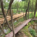 반딧불이 이미지