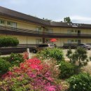 경진민박 이미지