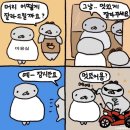 낭만고양이 판교점 | 2025년 11월 (2)