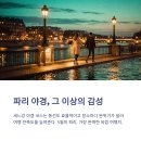 세느강 티스토리