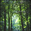 라임프로치과의원 이미지