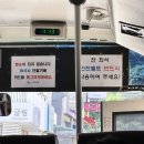 [8월 울릉도 여행] 저동 가성비 숙소 추천 전동 스쿠터 대여 거북바위 스노쿨링