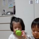 손꿉놀이