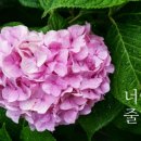 대숲여행민박