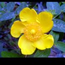 참샘농장 이미지