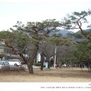 용두산산림욕장 네이버블로그