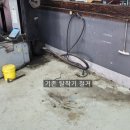 정인자동차 이미지