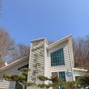 야생화 카페 펜션 | 봄에 좋은 천안 북면 야생화 정원 카페 뚜아에무아