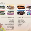 무주읍 읍내리 군청 앞 ~ 무주읍 읍내리 시장사거리 | 야간 축제를 즐길 수 있는 무주 문화재 야행