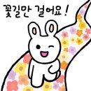 세계주류마켓 이미지