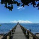 제35회「피지 행복찾기힐링캠프」여행안내문 이미지