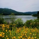 산방천길 이미지