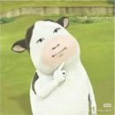 (주)씨지씨 - 금정구 | 영화 [호프] 후기 | 호프 줄거리 | 스포주의 | 여기 똥인지 된장인지 찍어 먹어야 아는 사람 등장이요...