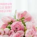 경산초등학교 이미지