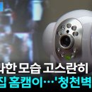 쿠팡에 이어 홈캠 해킹 이미지