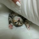 해피월드종이학 | 인천가볼만한곳 종이학펜션 강추
