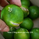 가빈농장 이미지