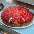 레드브릿지 이미지