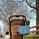 아라소아청소년과의원 이미지